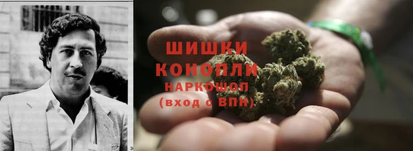 стаф Белокуриха
