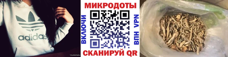 Псилоцибиновые грибы Psilocybine cubensis  omg вход  Сосенский 